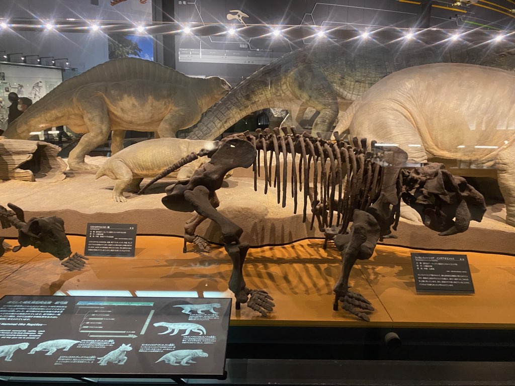 恐竜化石