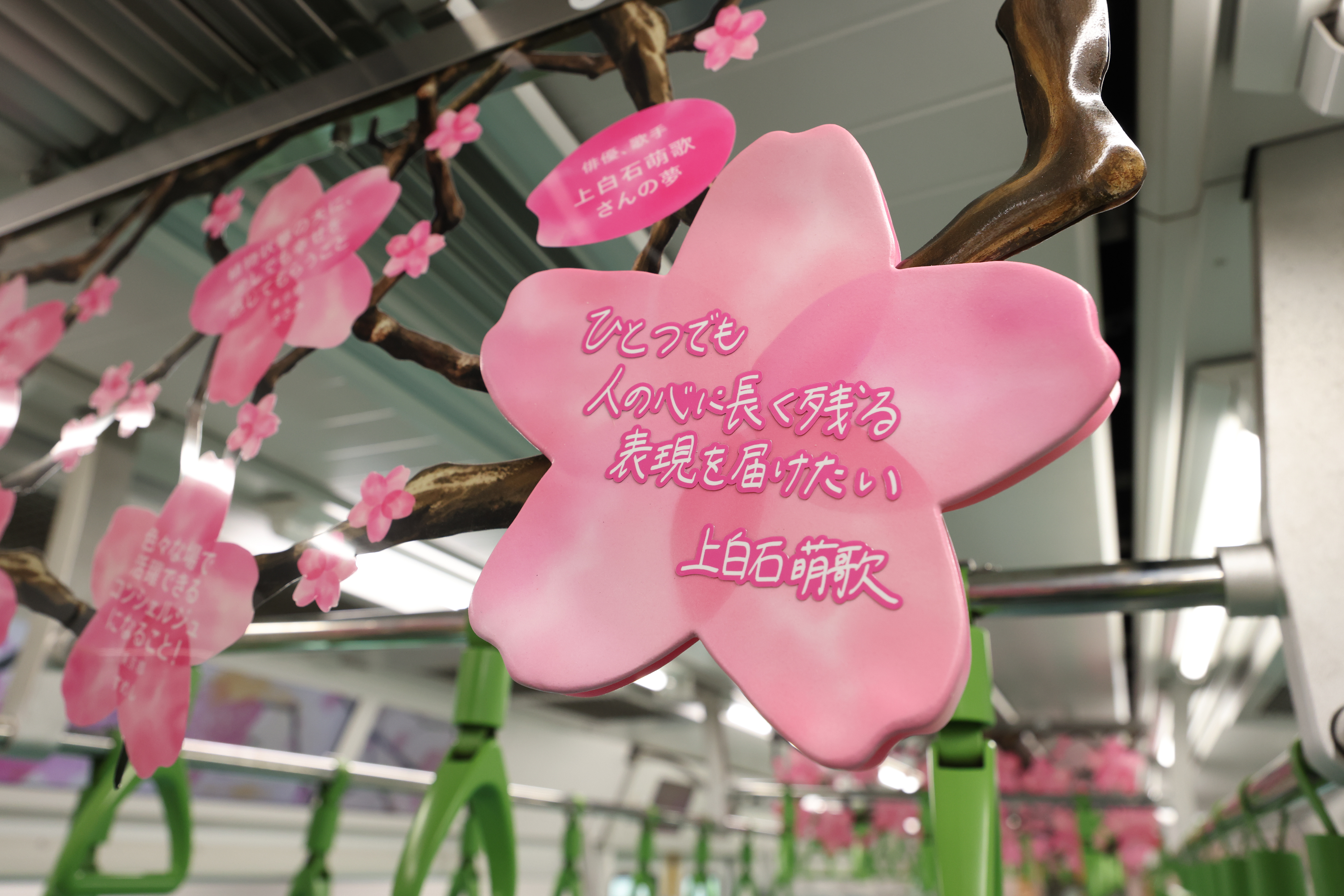 上白石萌歌さん